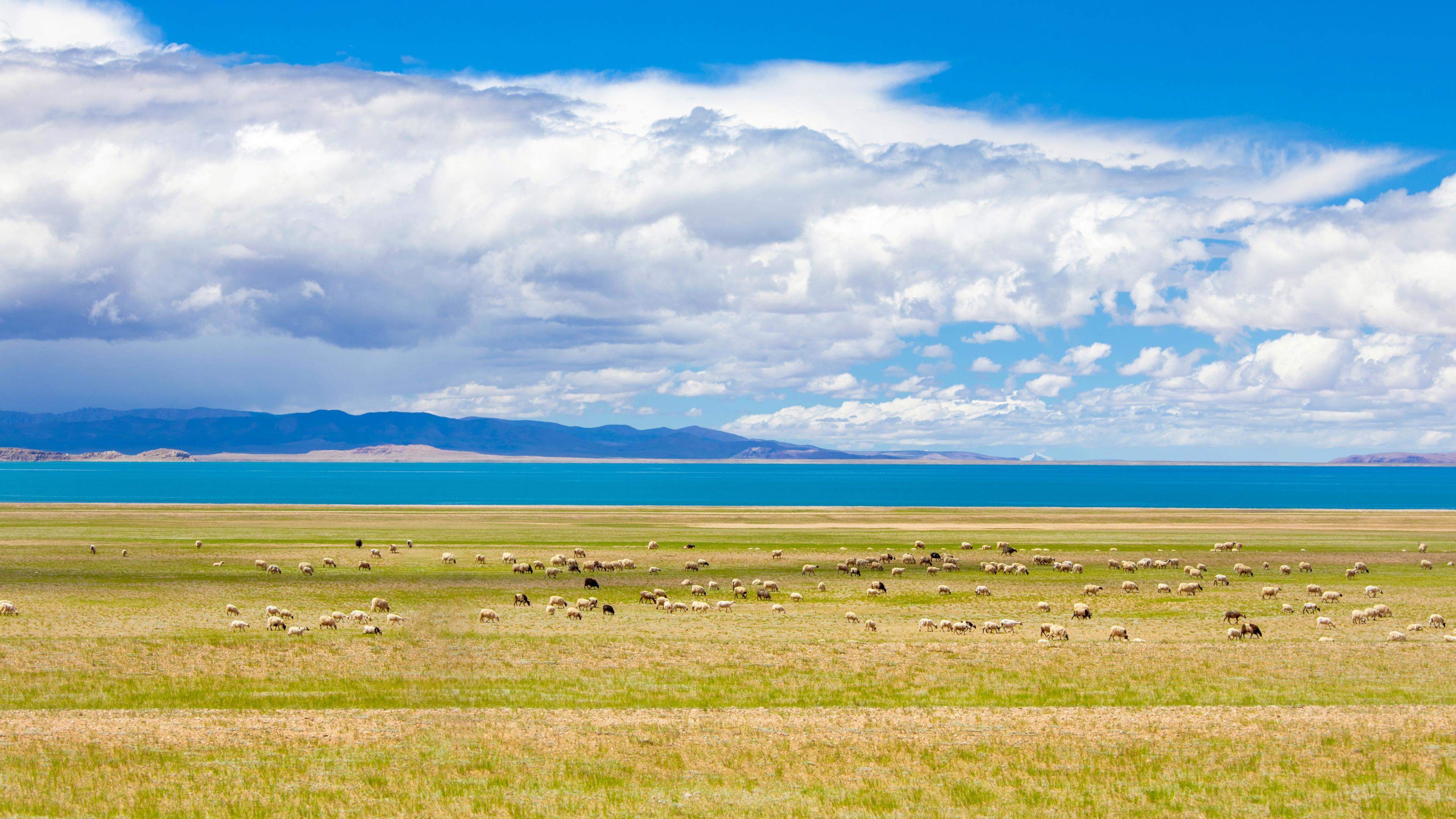 成都走川藏线包车价格是怎么计算的,费用高低区别是什么