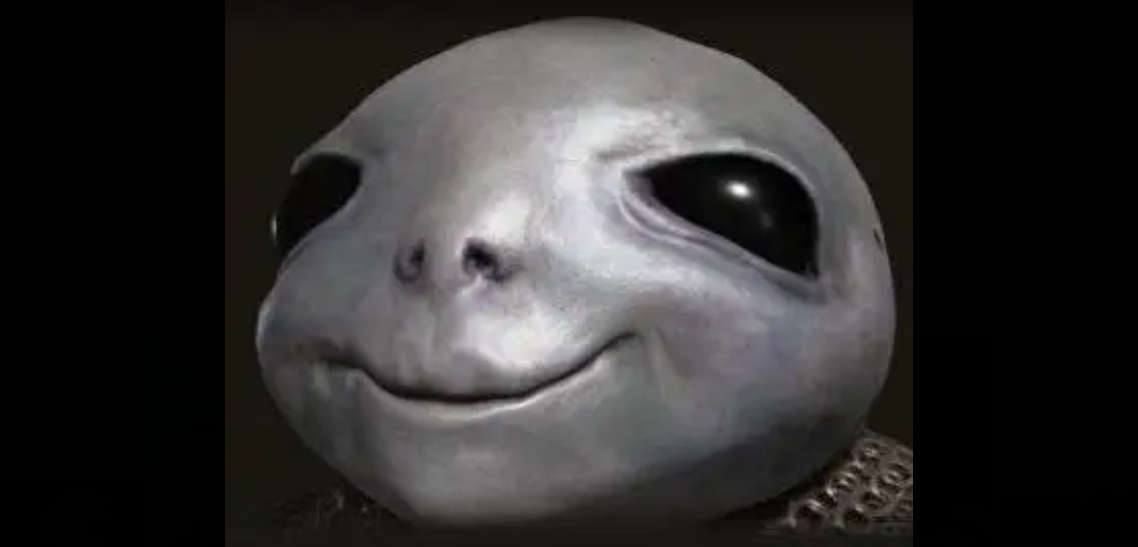 艾尔登法环中悲剧的种族-白金之子