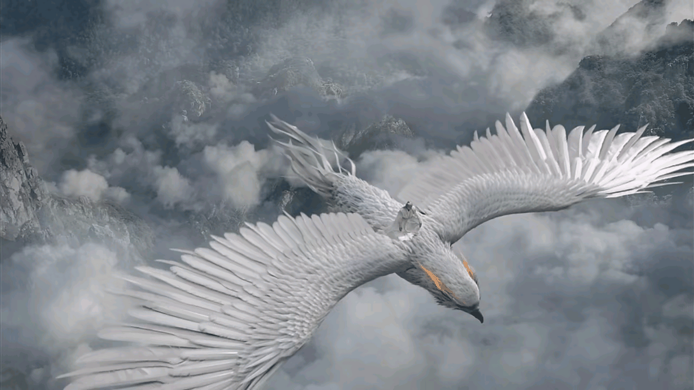 《长相思》可爱的小胖鸟毛球,还有可爱的朏朏 这么