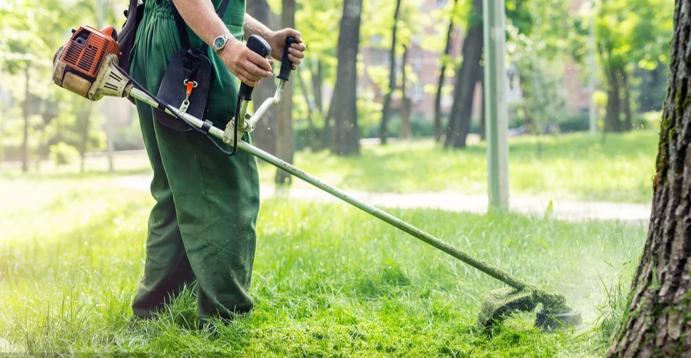 园林绿化工程师怎么考如何复审报名流程给你小妙招