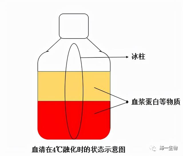 血清