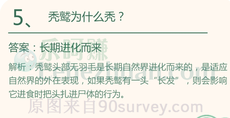 秃鹫为什么秃?答案:长期进化而来 秃鹫为什么秃?答案:长期进化而来