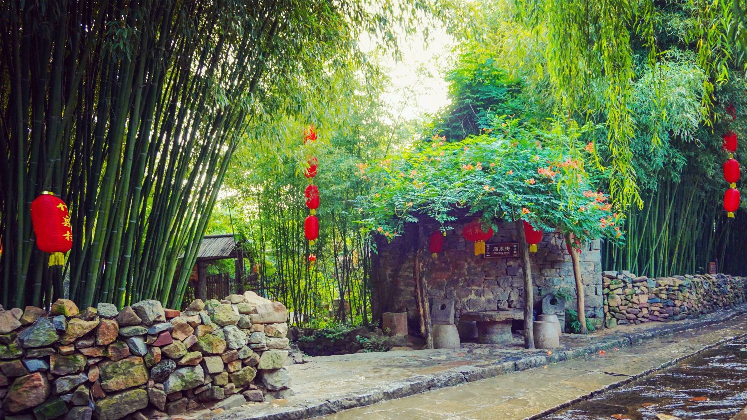 沂蒙山区有个清泉依山出,翠竹因泉生的幸福村