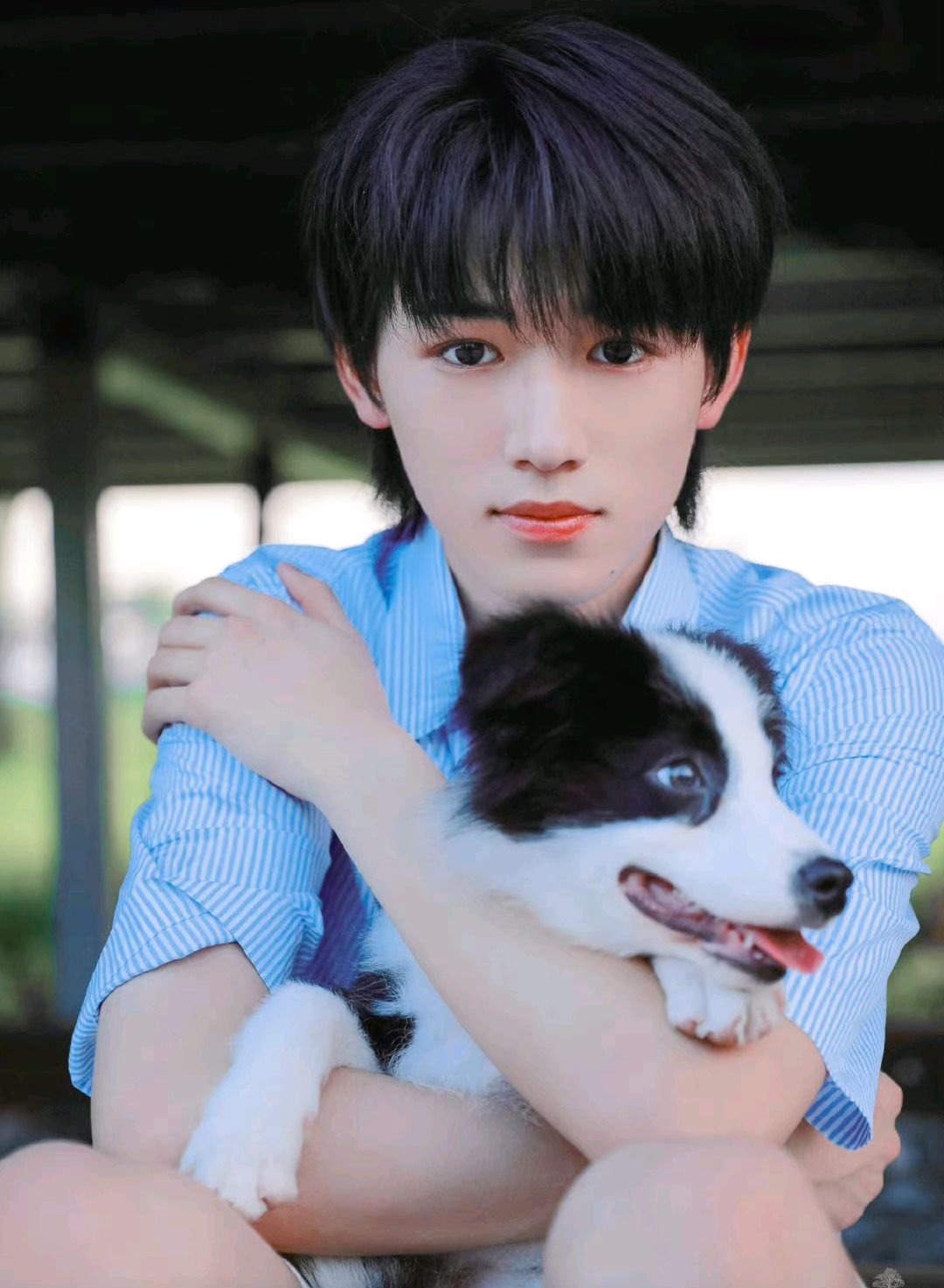 宋亚轩好爱鼠标,回复杨迪的表情包,暴露他竟然会看鼠标超话!