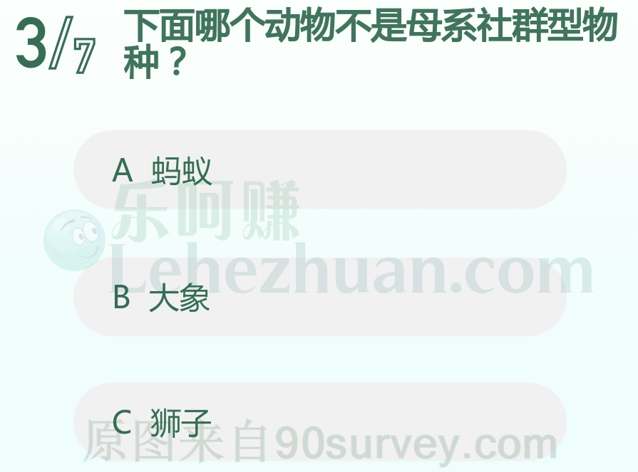 狮子是父系社群 狮子是父系社群