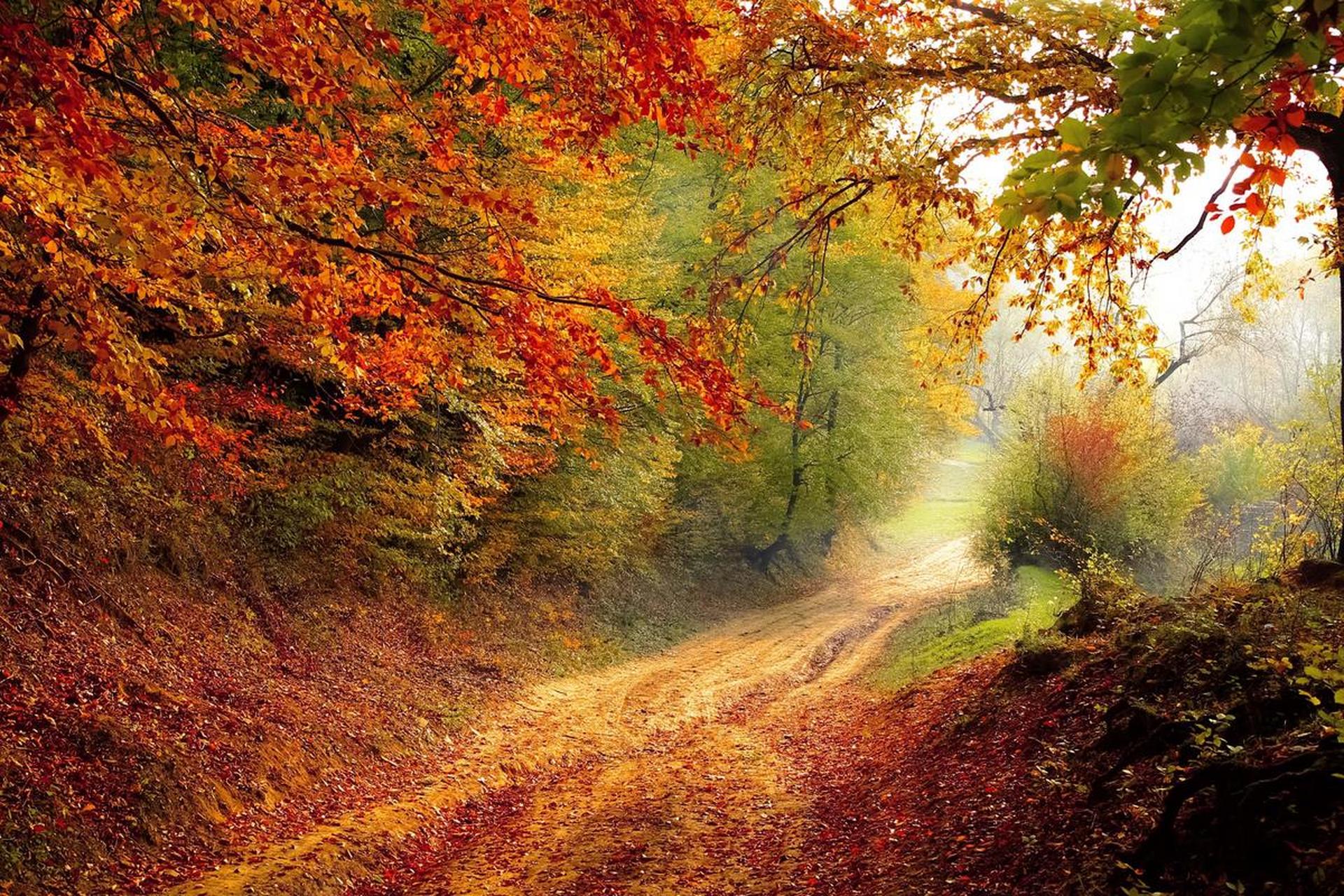 丧偶后想哭就哭,假装的坚强真的会崩溃 失去至亲至爱我们能不能哭泣呢