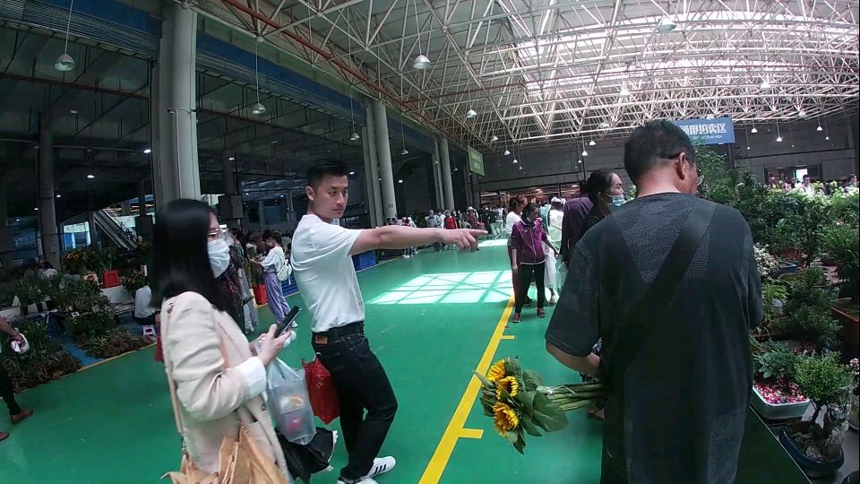 波波旅行到昆明斗南花卉市场,里面鲜花多肉植物超级便宜
