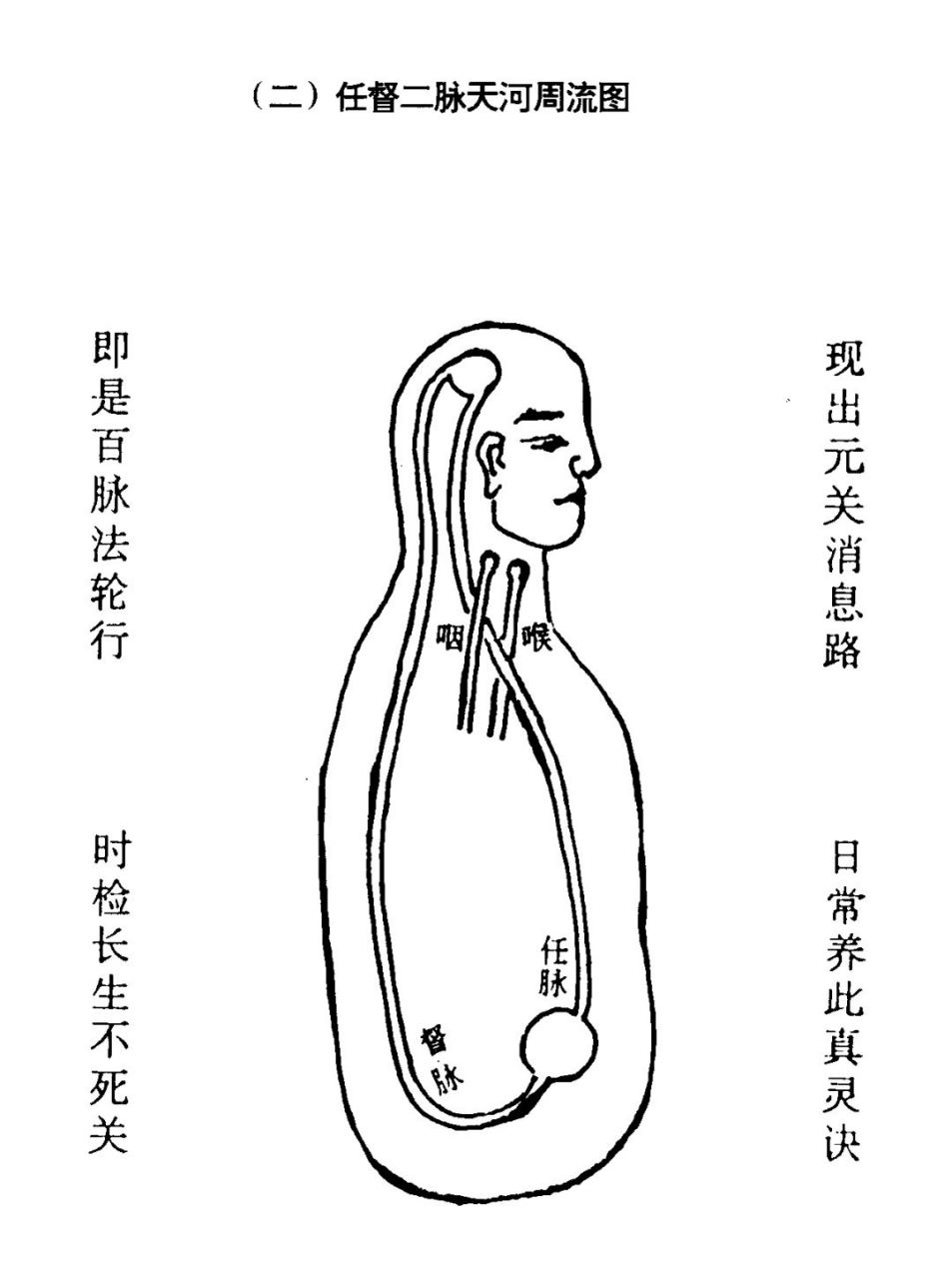 任督二脉怎么自己打通图片