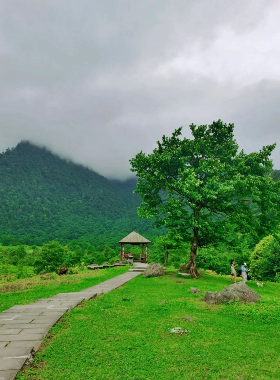 绝不让你失望的马里冷旧黑竹沟 乐山|峨边黑竹沟·马里冷旧超全攻略