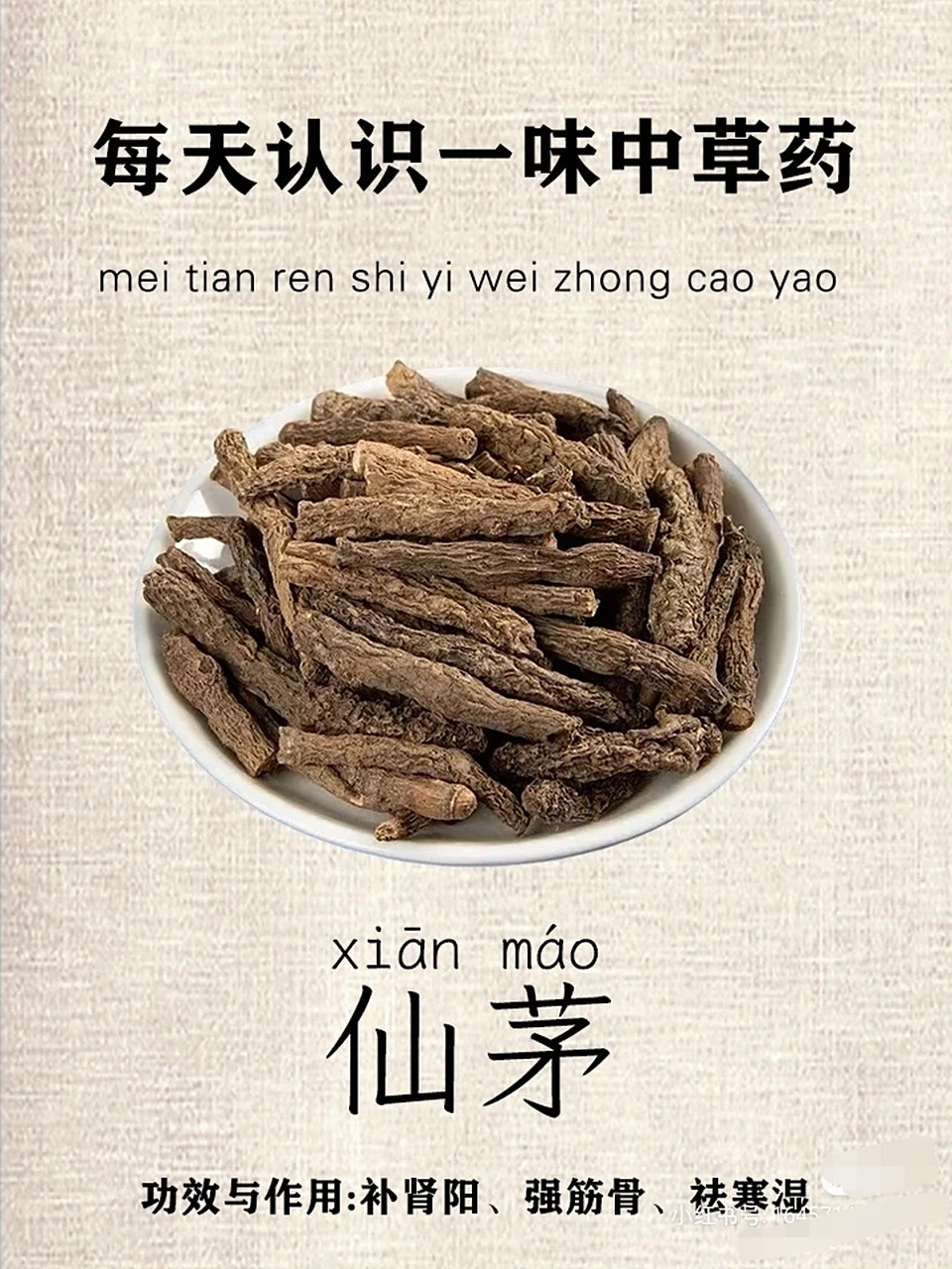每天认识一味中药——仙茅