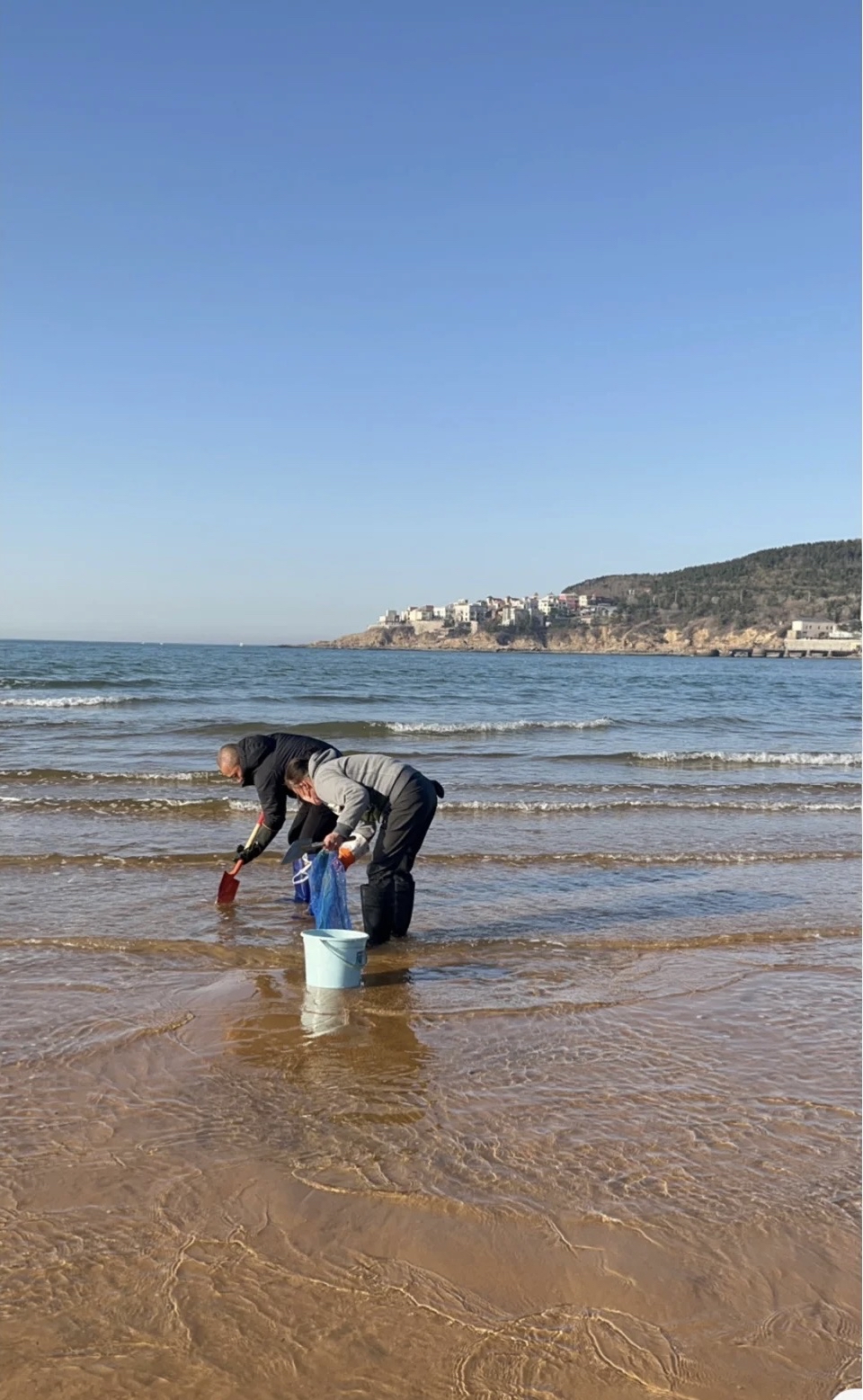 威海国际海水浴场赶海图片