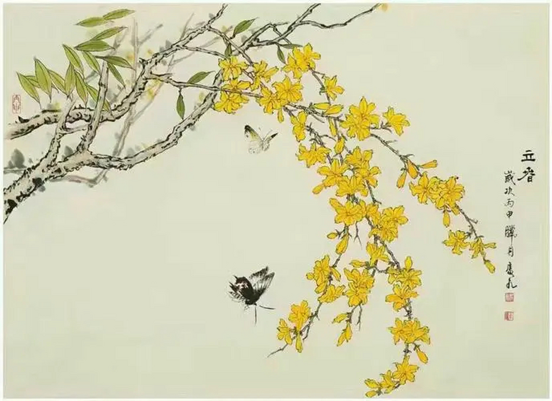 大好春光,不写写迎春花真过意不去,它可是"最先点缀春色"的花卉呀.