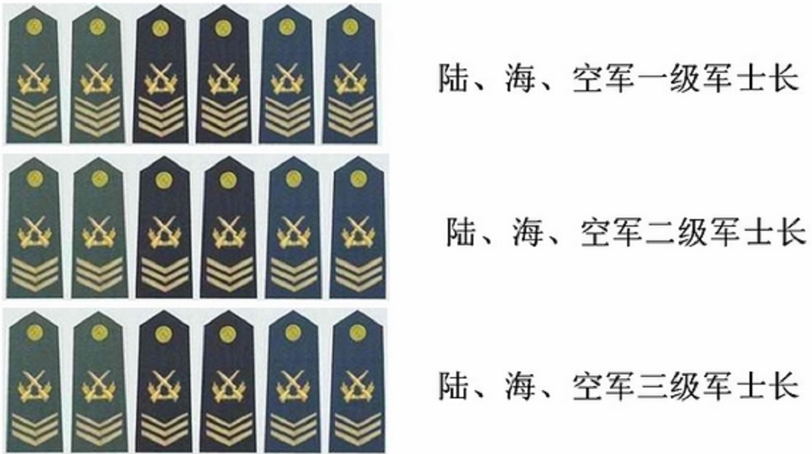 空军二期士官军衔图片图片