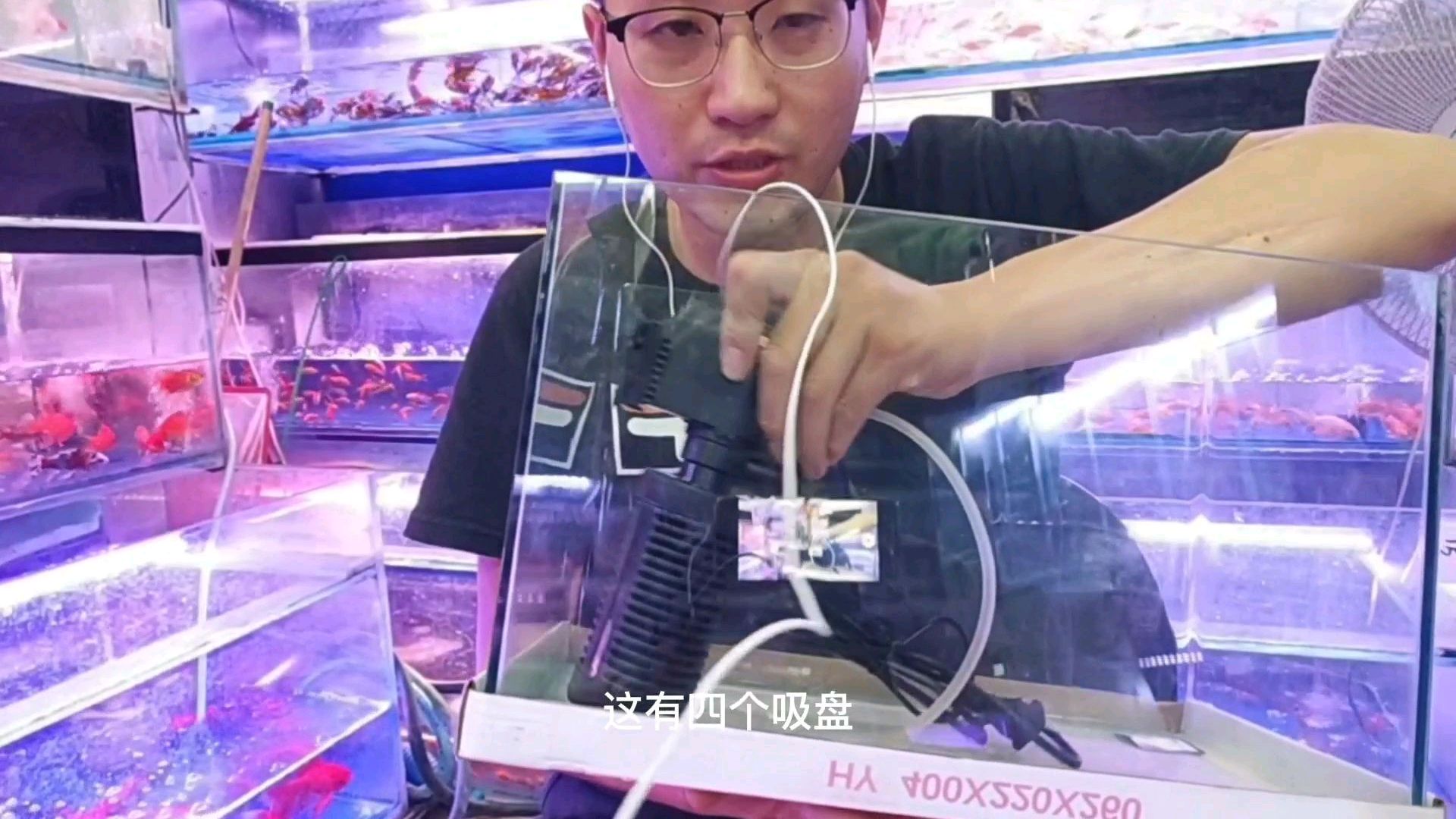 养鱼新手需要的两样东西!有了它您就可以简单养鱼了!进来听听
