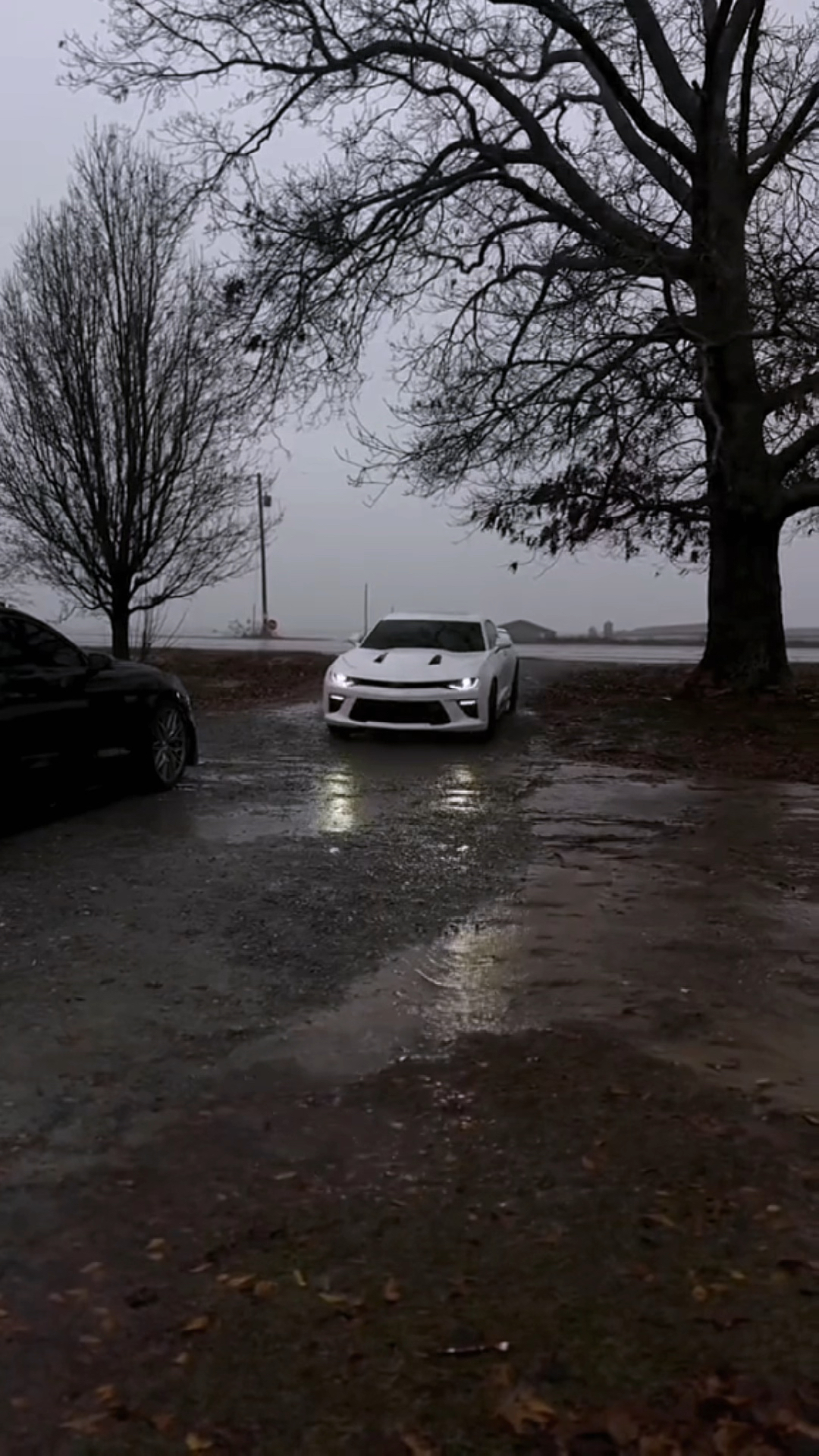 今日车型美式肌肉跑车雪佛兰科迈罗俗称大黄蜂