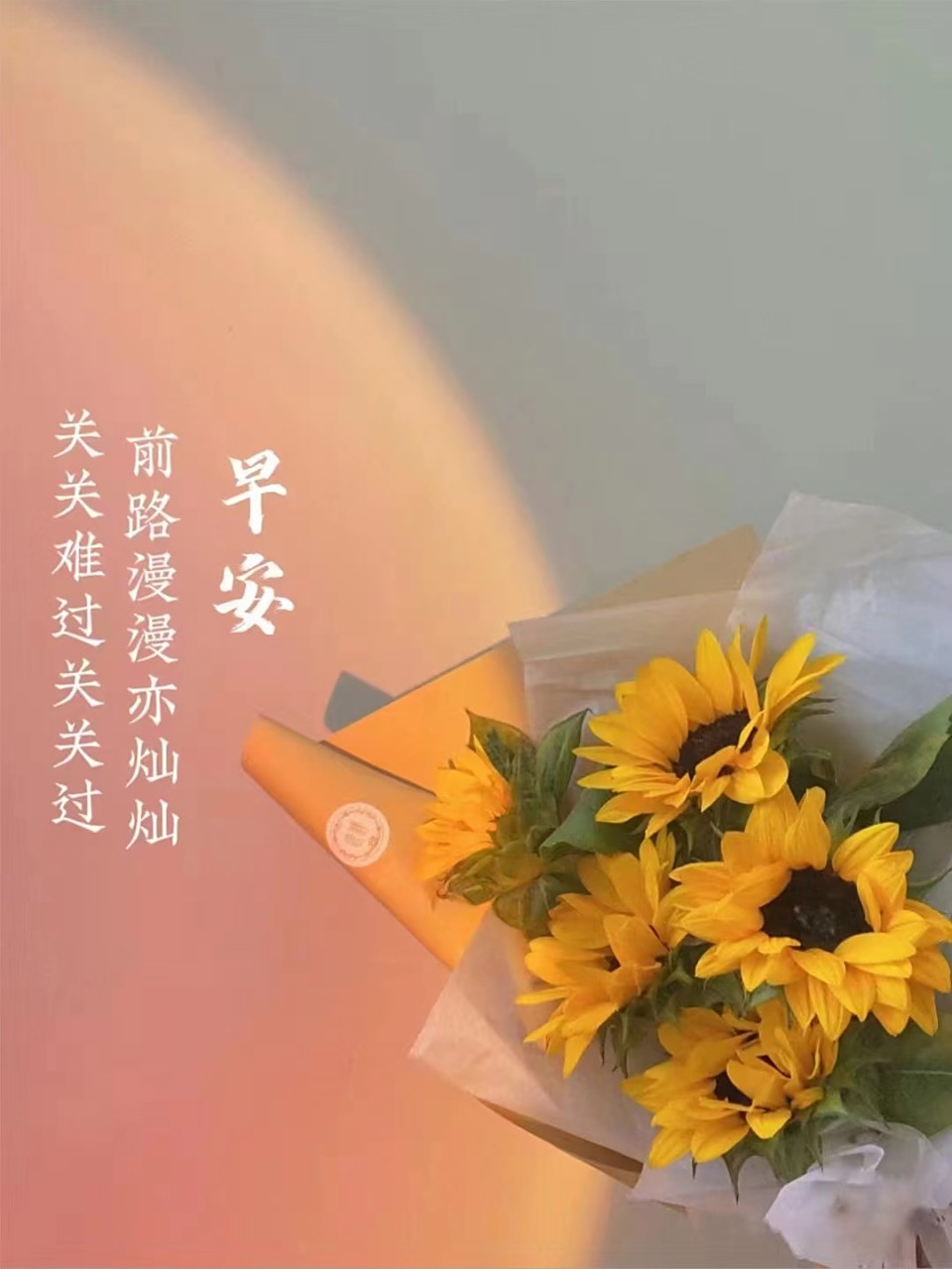 关关难过关关过  前路漫漫亦灿灿 早安[太阳] 67