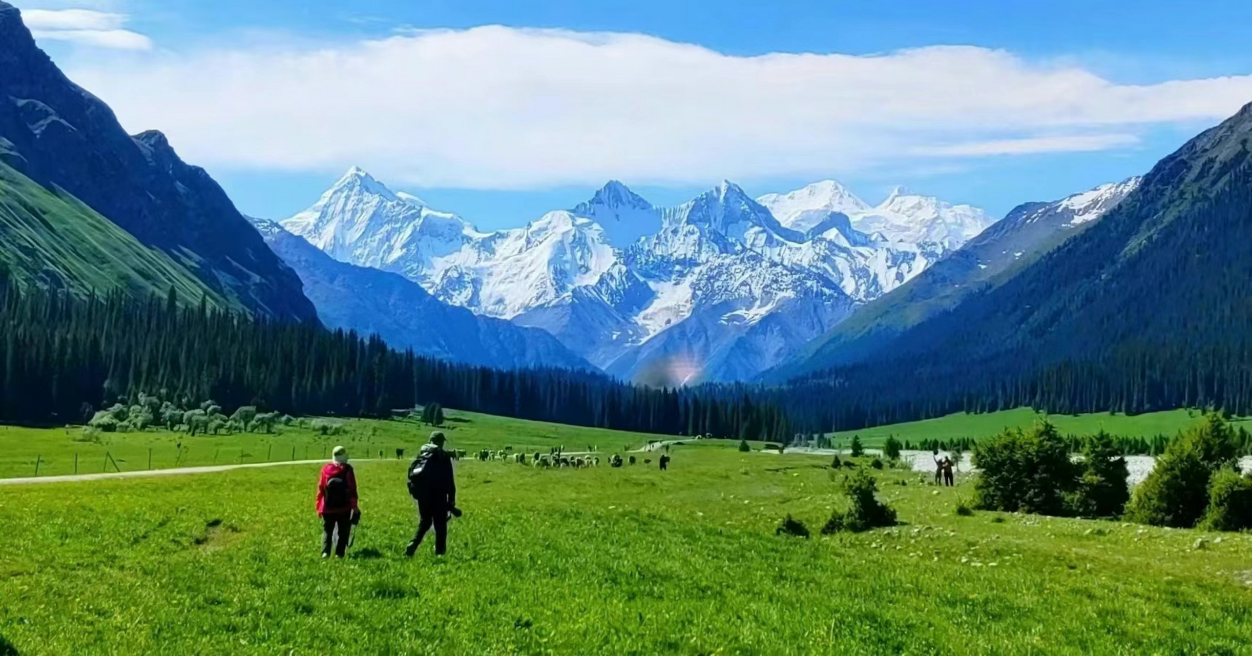 夏塔古道国家森林公园: 一处以雪山和峡谷风光为主,富有神奇色彩的的