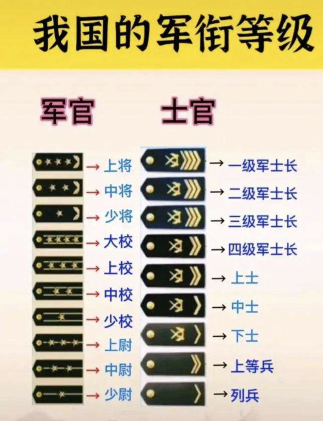 部队军衔团长图片