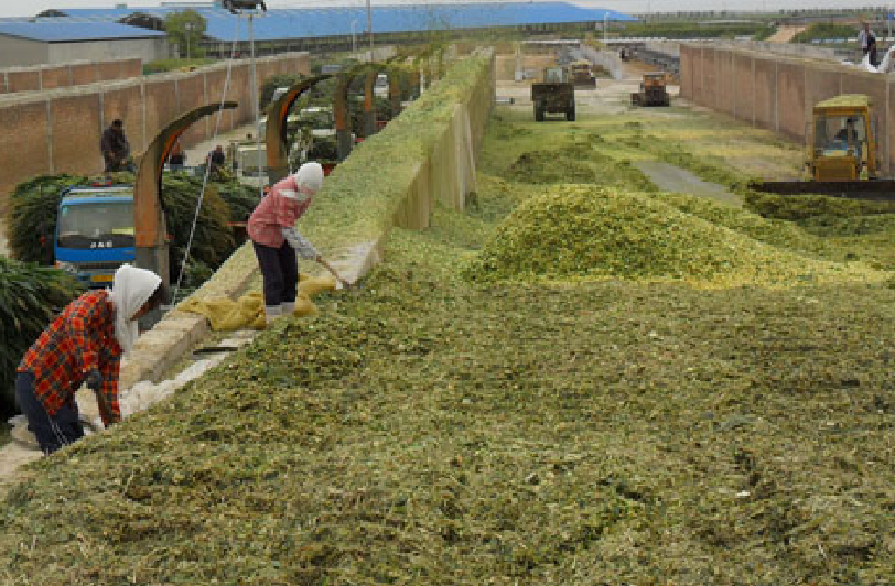 一般人想不到的赚钱项目,但是真的很赚钱!