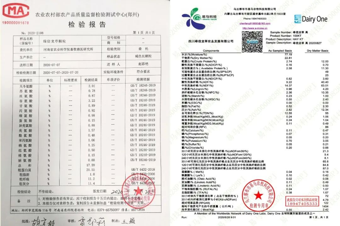 绿倍龙草营养价值检测报告