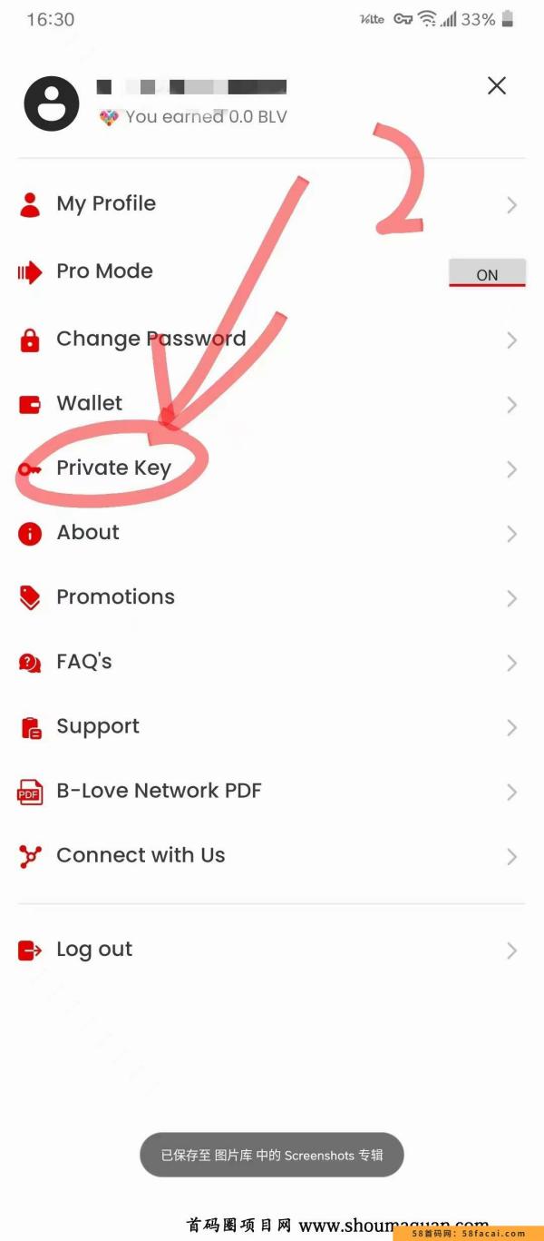 B-Love Network在Google PlayStore上的申请已经进入审批流程，审批完成后，更新PlayStore上的B-Love Network，申请更新选项后即可开始登