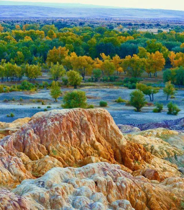 新疆金秋美得浓烈深厚,能够满足我们对美景的所有想象和期待