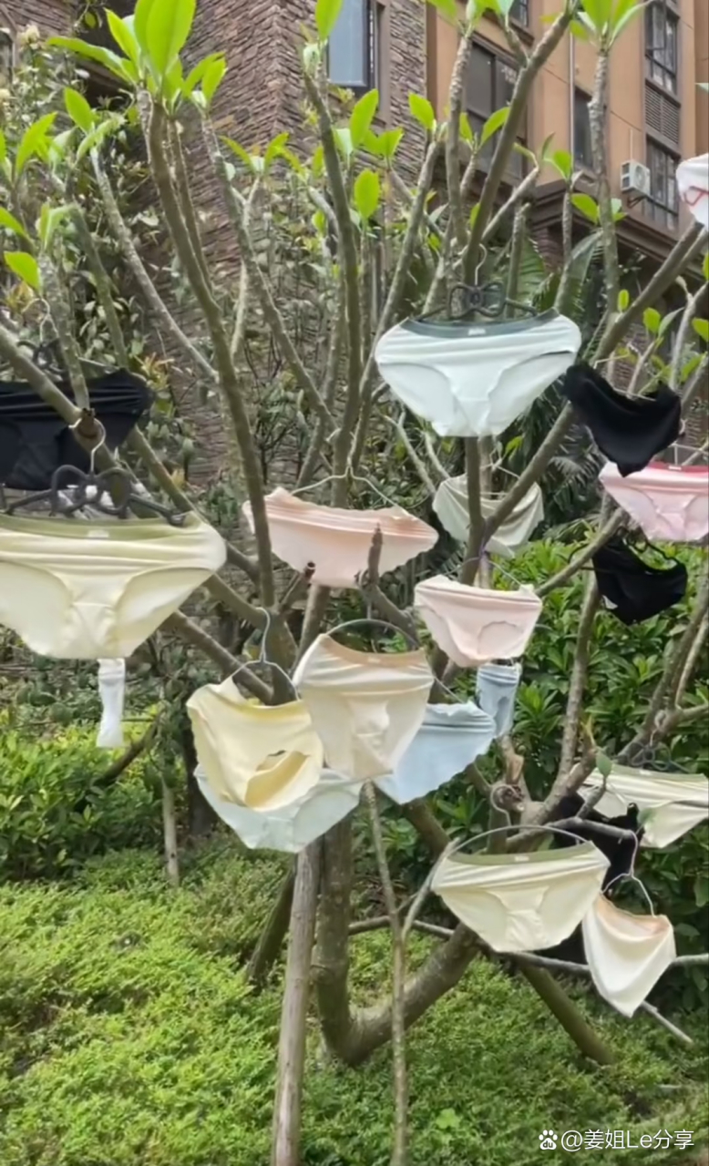 公共场合晒裤衩子,就不怕招变态