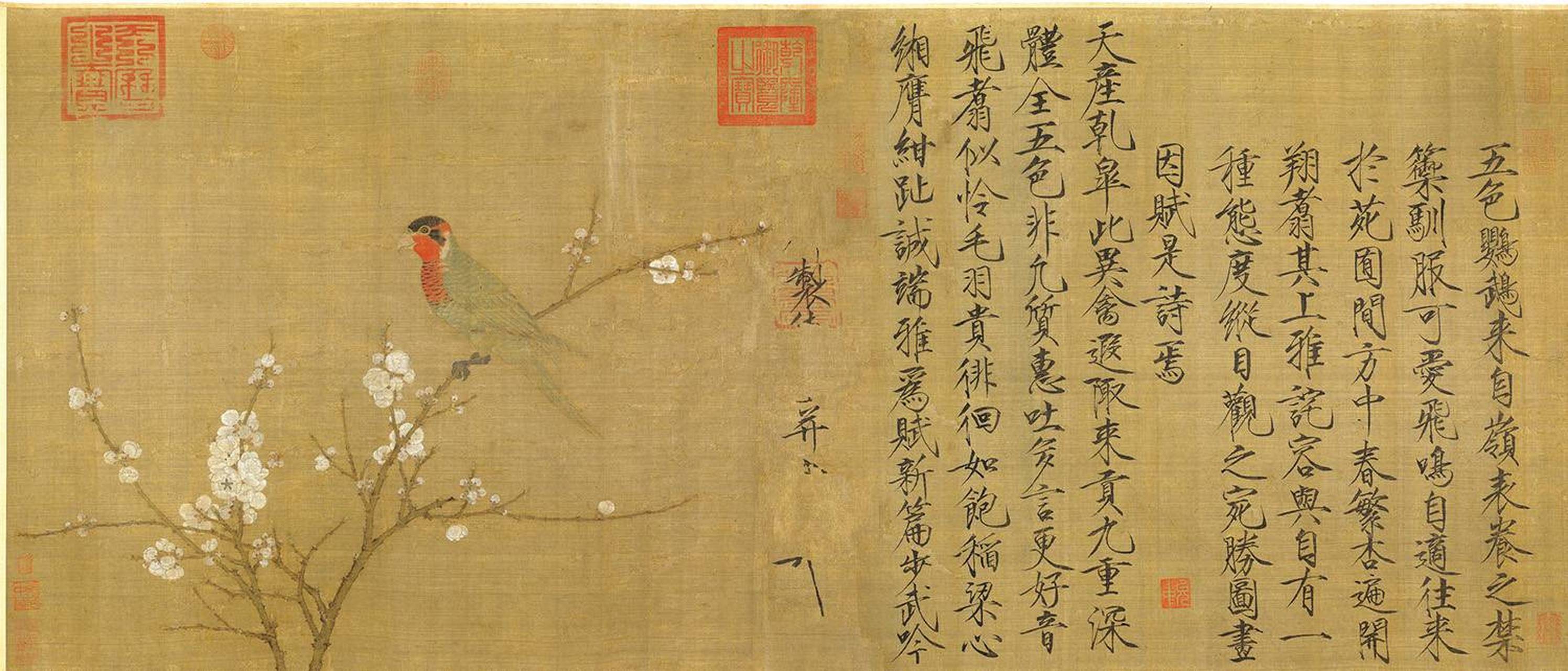 赵佶《五色鹦鹉图》#传统文化# #中国画# #书画