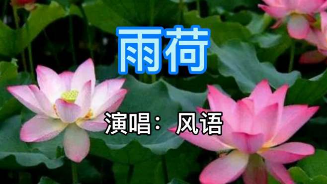 [图]一首伤感的歌曲《雨荷》来了，扎心动听，句句入心，荡气回肠