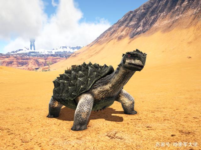 方舟生存进化生物——淡水碳龟