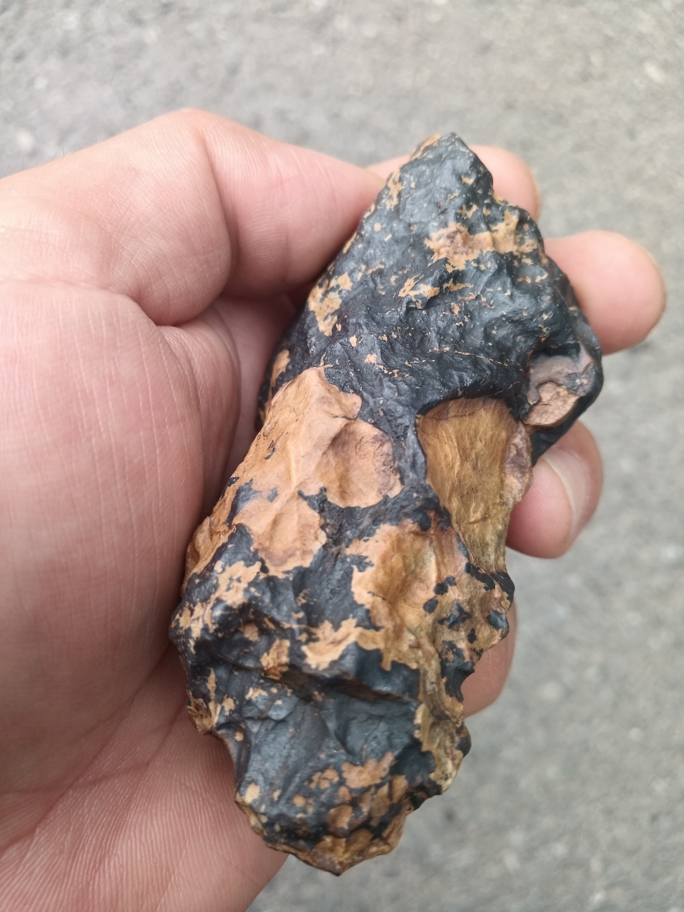 石铁陨石,有融壳,气印,气道,融流线.