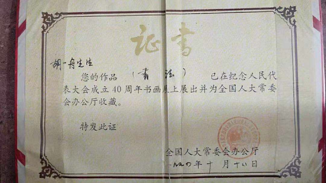 访谈书法苑胡一舟先生