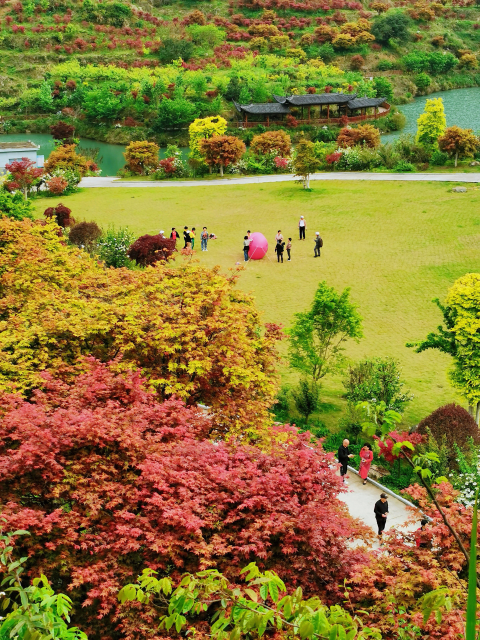 大荆镇桐阳村图片图片