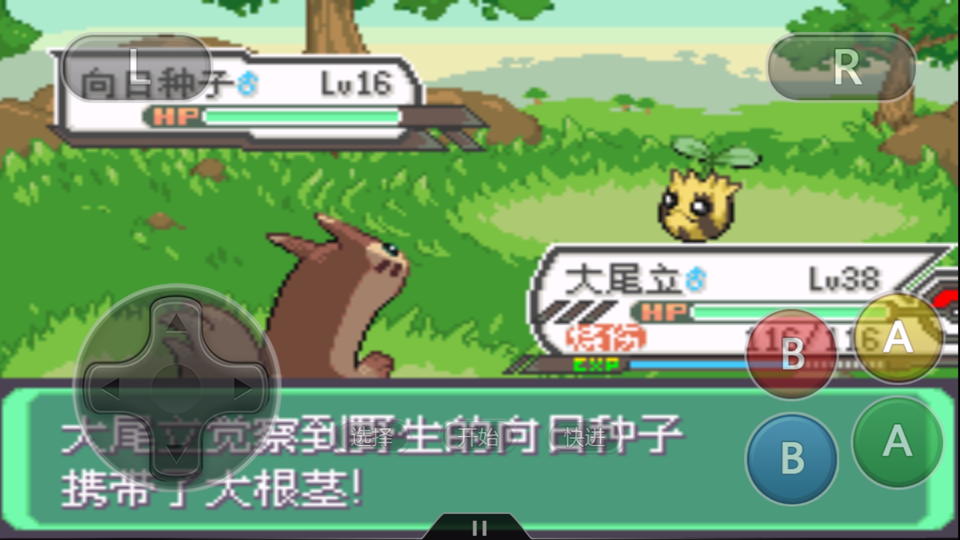 口袋妖怪:草系的巅峰?拥有百分之百大根茎的宝可梦!