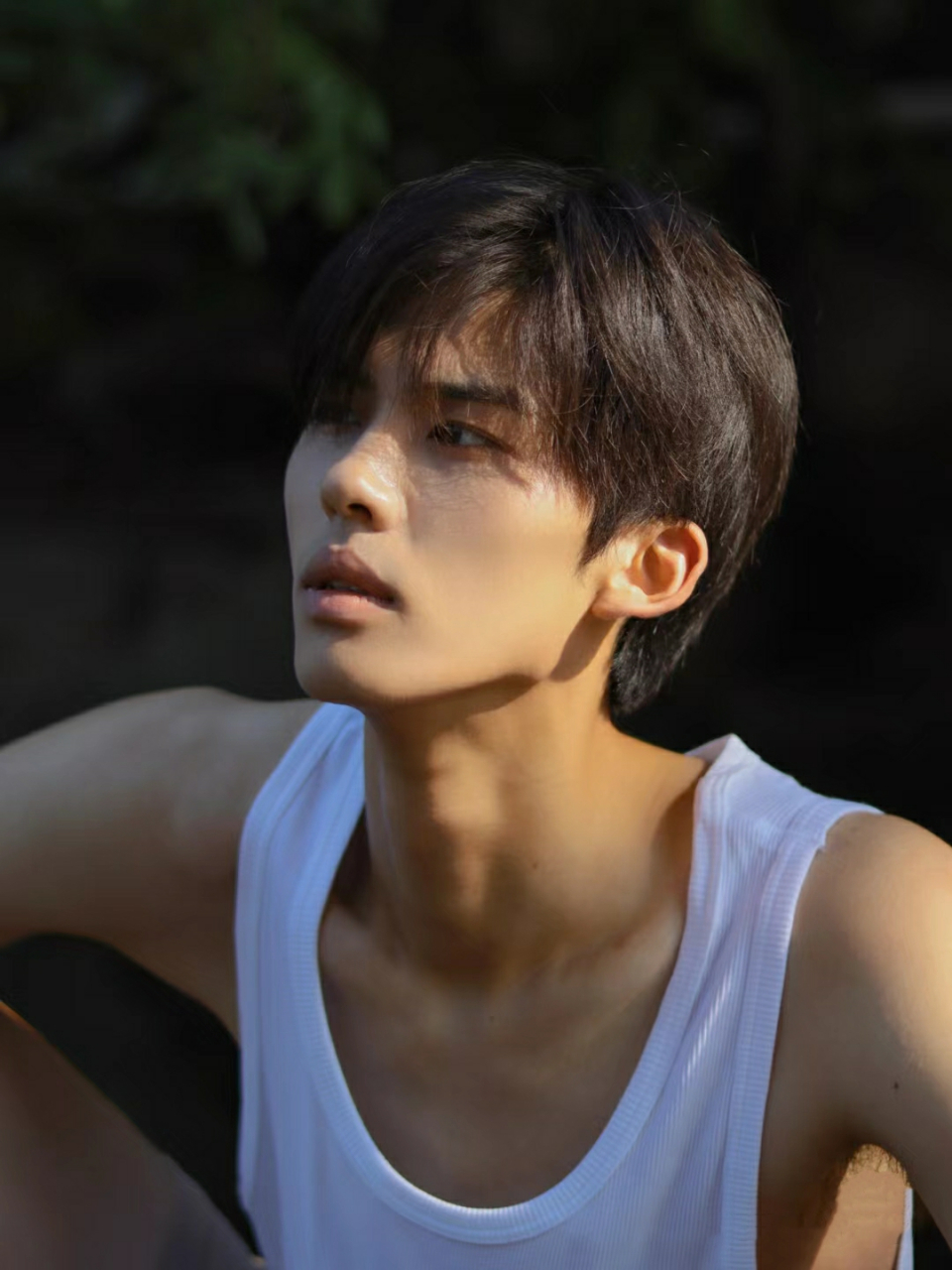 知足是一种淡然,知足是一种寡欲,知足是一种乐观.