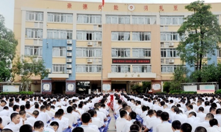 桑稚旭日中学图片