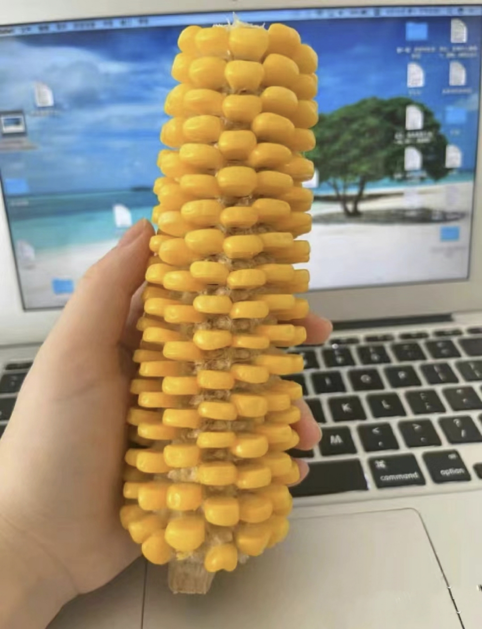 当和一个很有边界感的人分玉米时