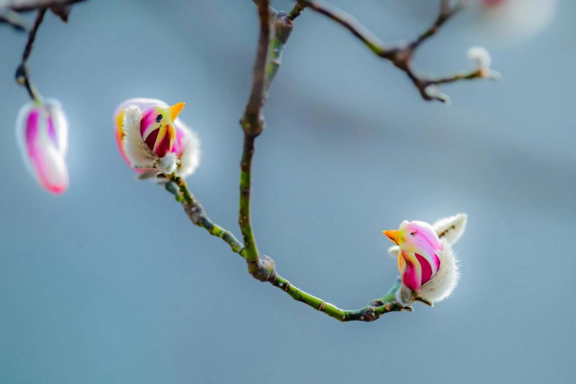 坐标:北京昌平区的大运河源头遗址公园