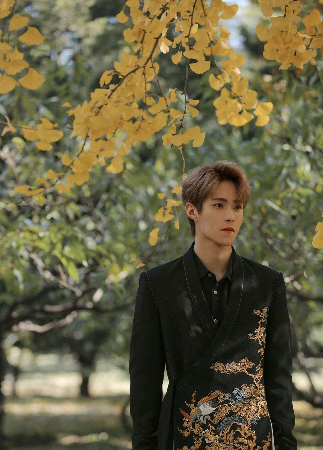 岳岳身着黑色刺绣西装出镜拍摄秋日写真,温柔绅士的俊逸风格