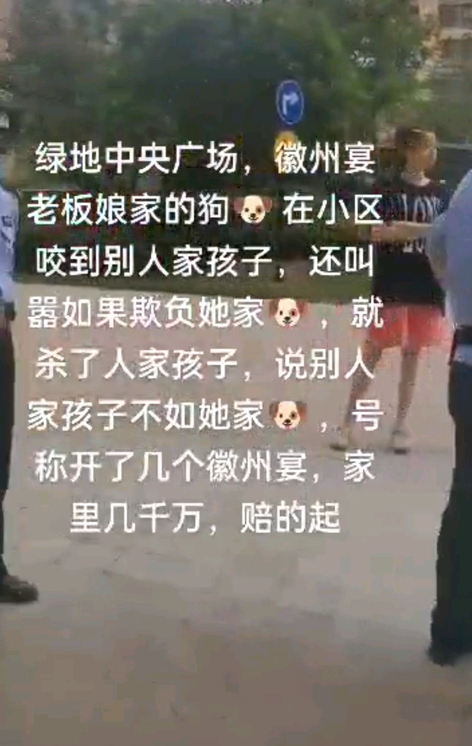 徽州宴老板娘的狗图片