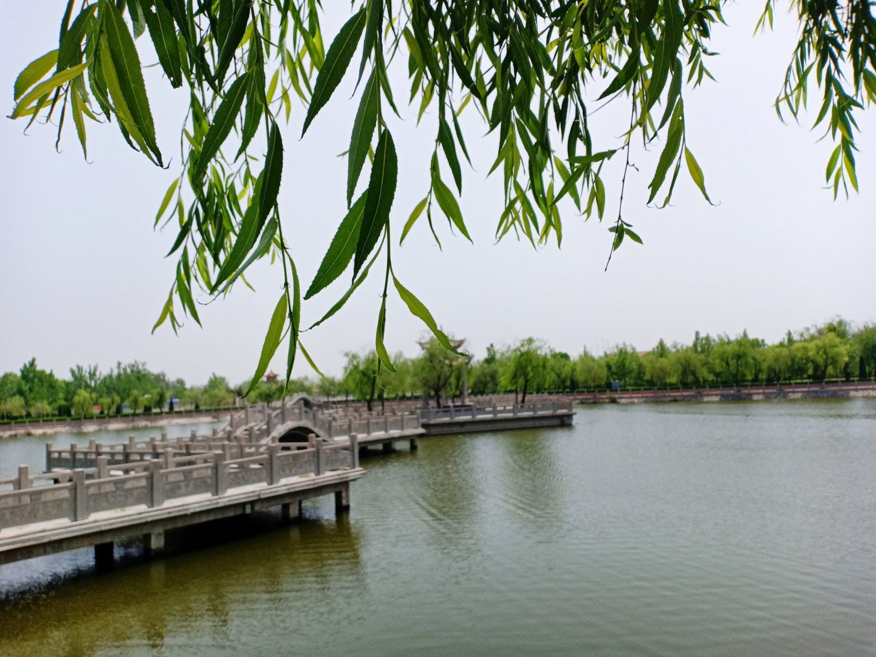 齐鲁行# #风景手机拍# 出差路过博兴县柳桥村,据文献记载,远在距今