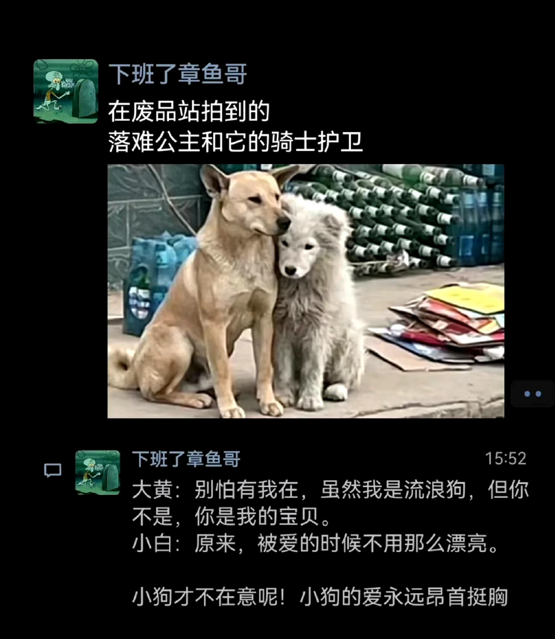 《落难公主和她的骑士护卫》[大笑][小红花]
