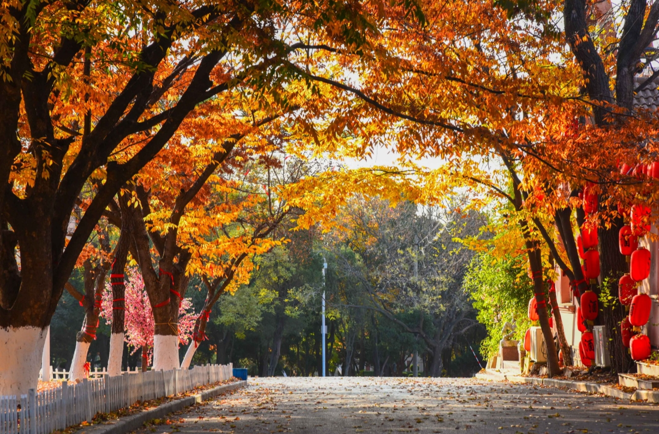 旅顺免费景点图片