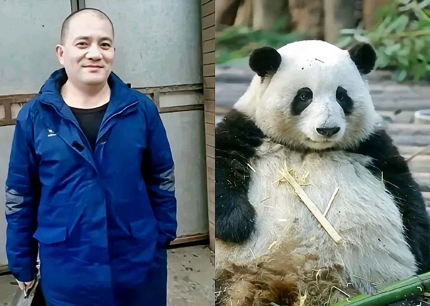 动物也是有感情的,只是不会用人类的语言来表达而已.
