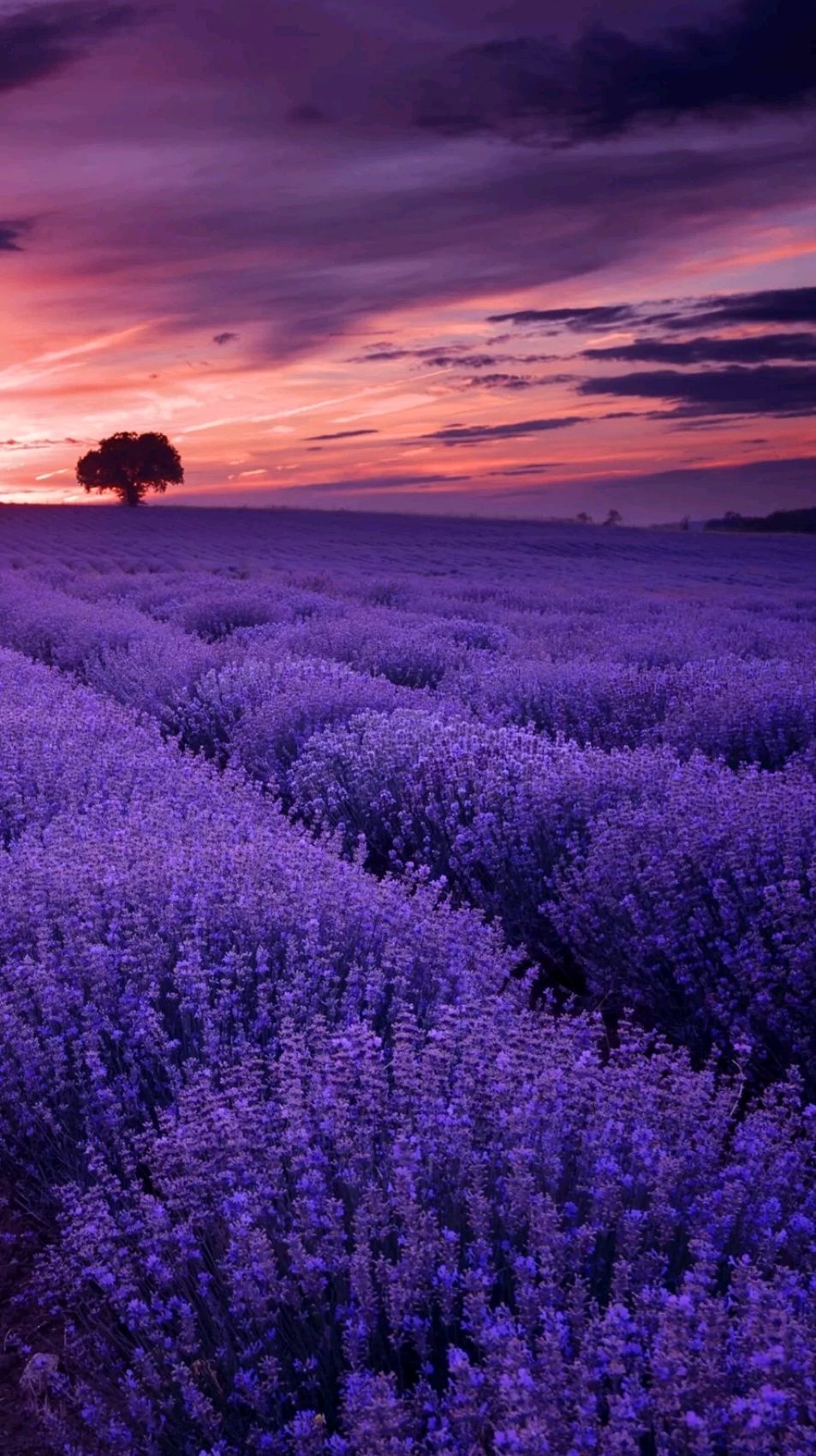 唯美意境超清壁纸