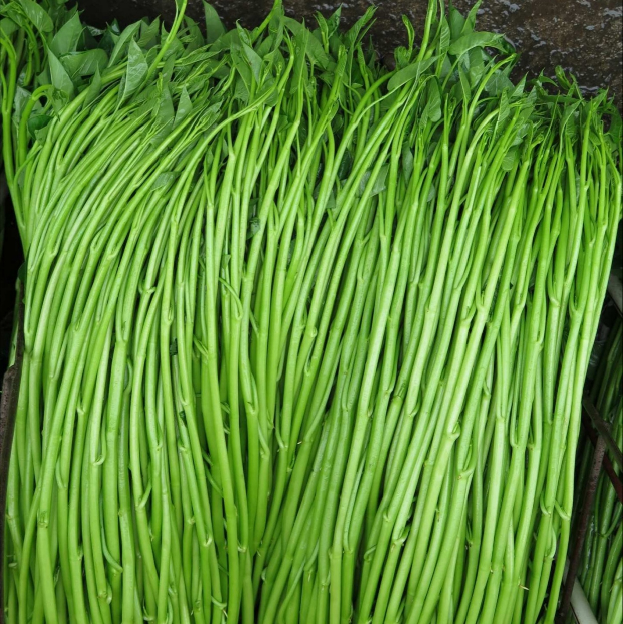 吃了十几年还如"初恋"一样的一套菜"博白烫空心菜"