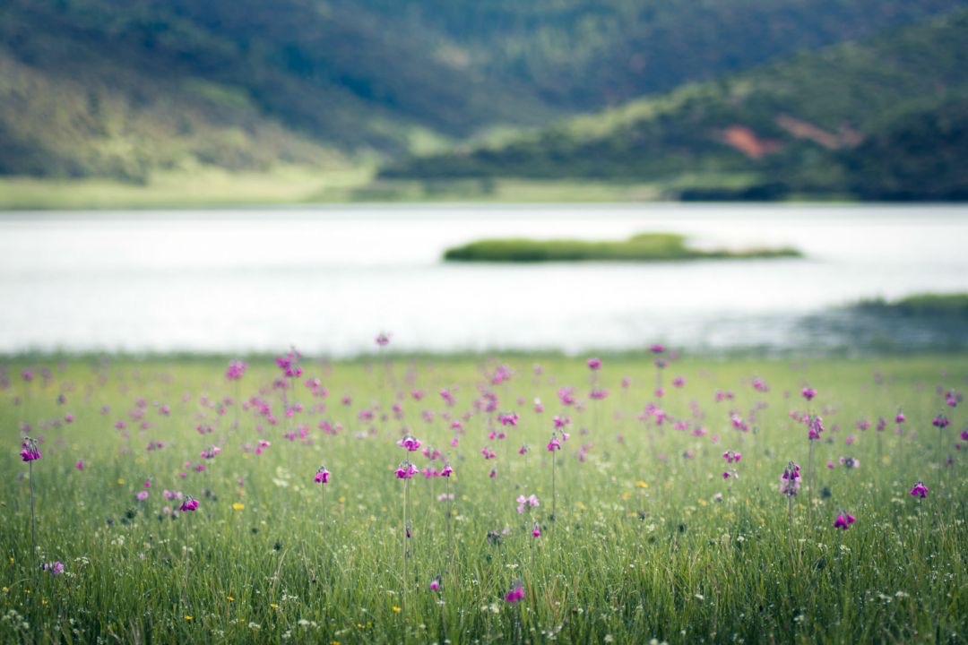 致贵阳1040连锁业