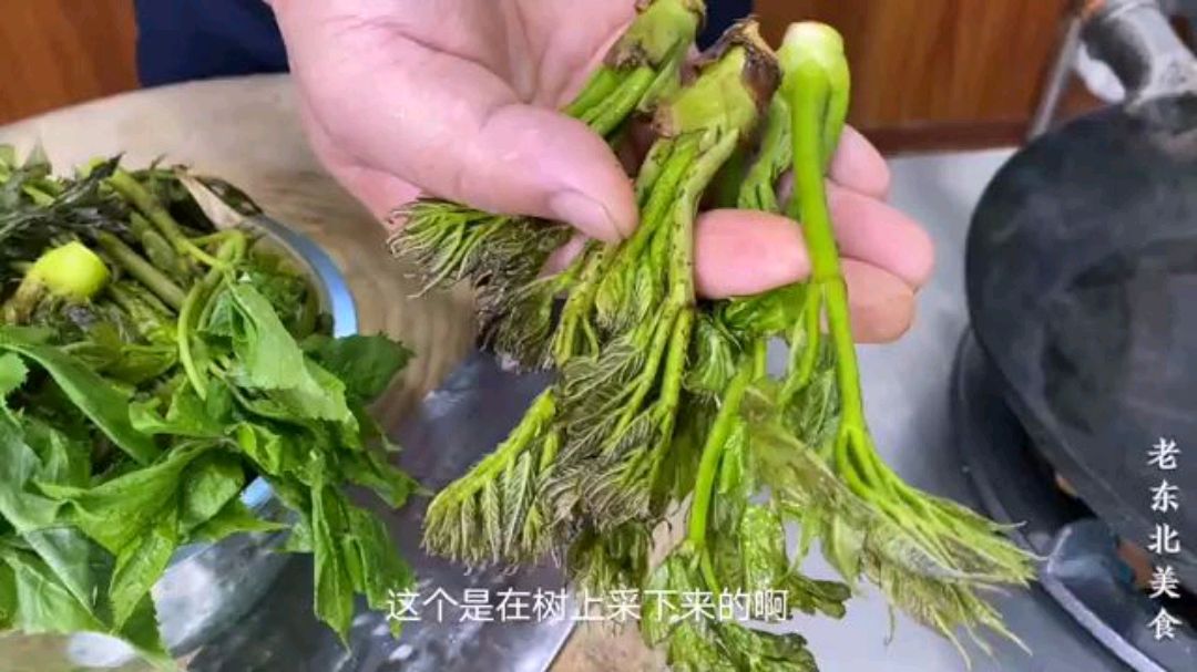 [图]东北特色山野菜“刺嫩芽”，配鸡蛋炒着吃，营养丰富，鲜香味美