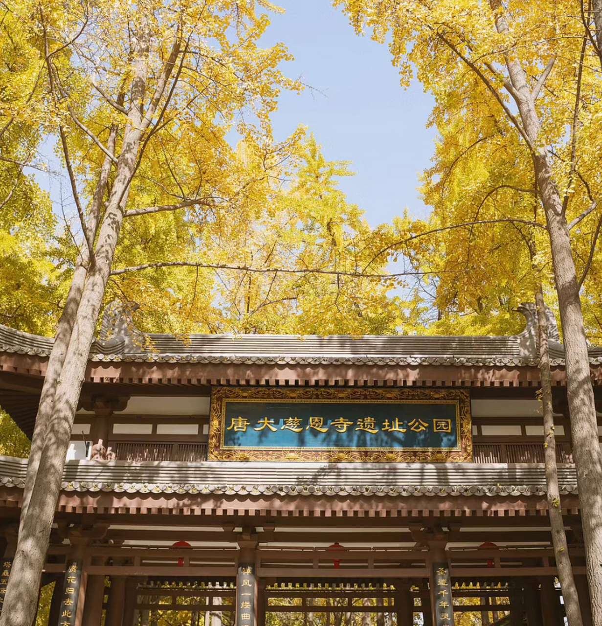 唐慈恩寺遗址公园位于西安大雁塔附近,寺内的风景温婉优雅,让人仿佛