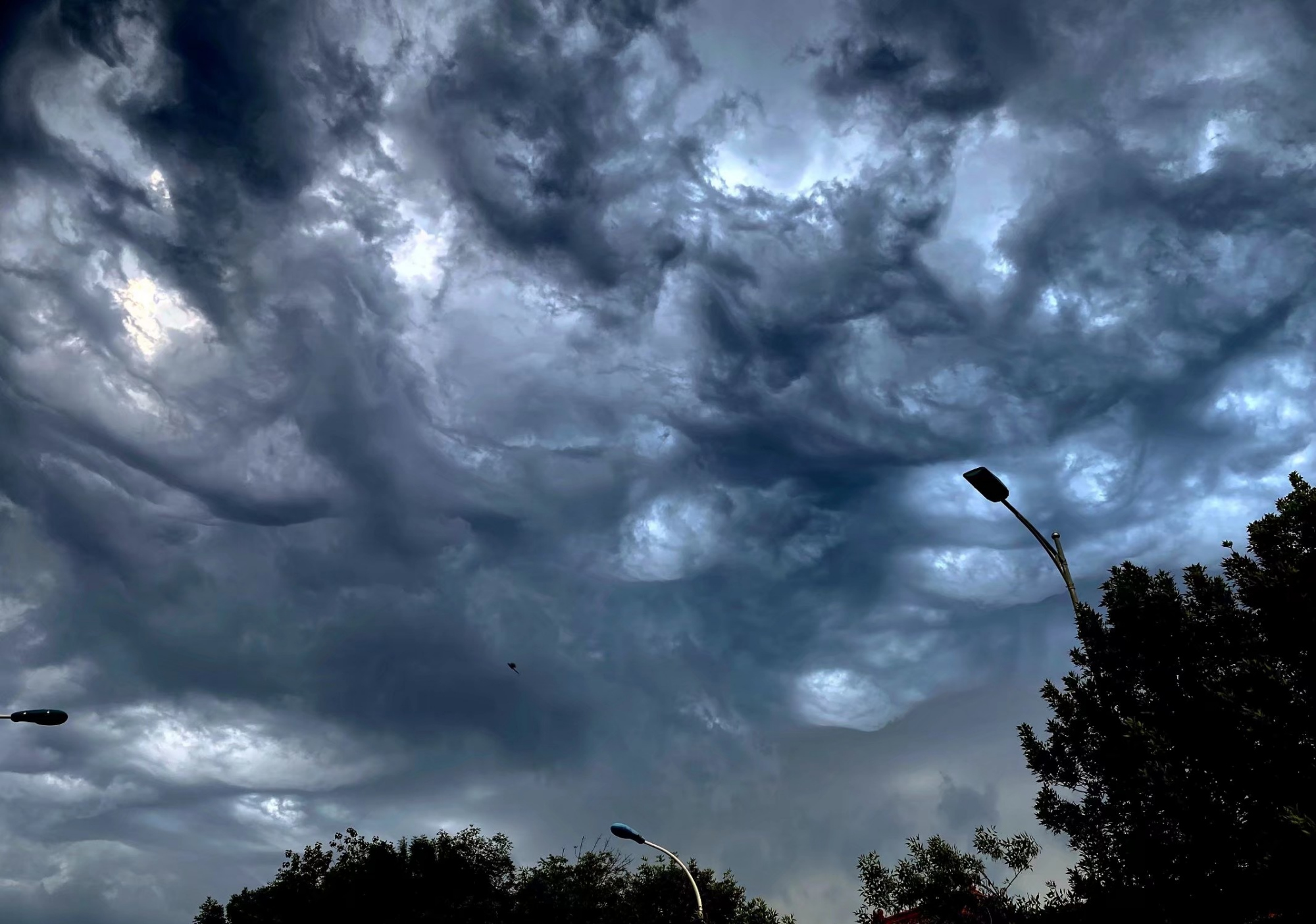 哪位大神在此渡劫,可否带我一个